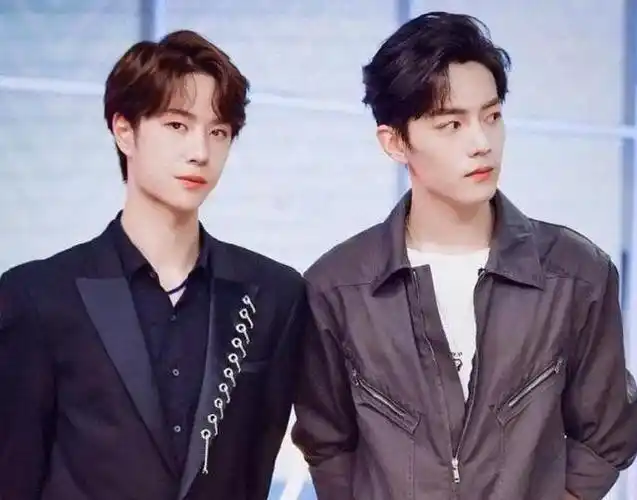 5年后,再看王一博和肖战的境遇,才发现他们本就不是"同道人"