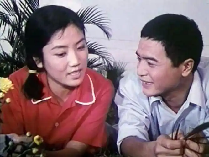 甜蜜的事业 官方剧照