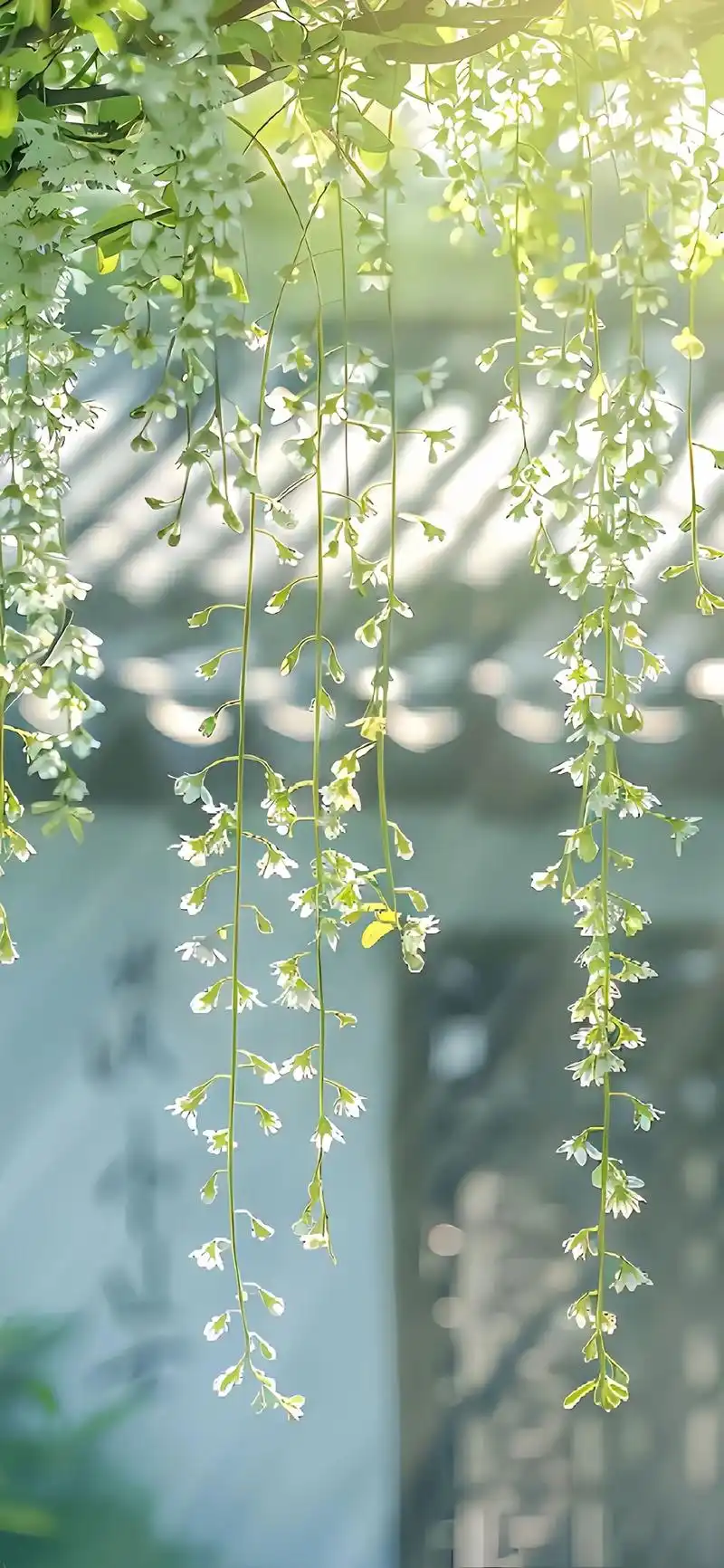 唯美治愈系壁纸,你不换一张嘛?#手机墙纸 #屏保该换了系列 - 抖音