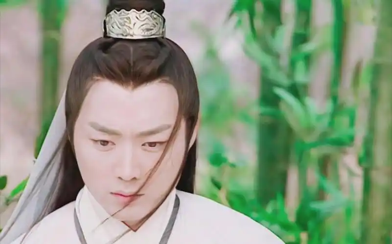 【沈晓海】竹子一哭天下醉 陶醉慢速仪态赏颜向