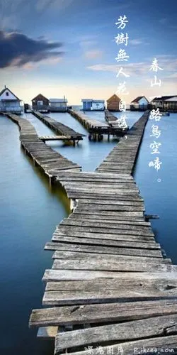 路风景带字qq皮肤_一起走过这条平凡之路