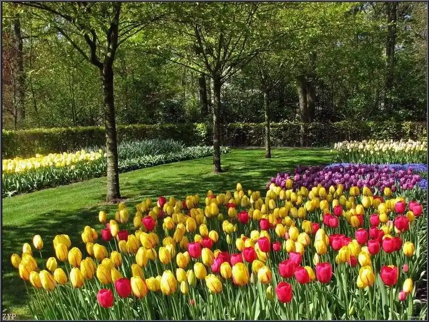 花园美景欣赏,感恩所有的相遇,#希望我的作品给您带来最美的回 - 抖音