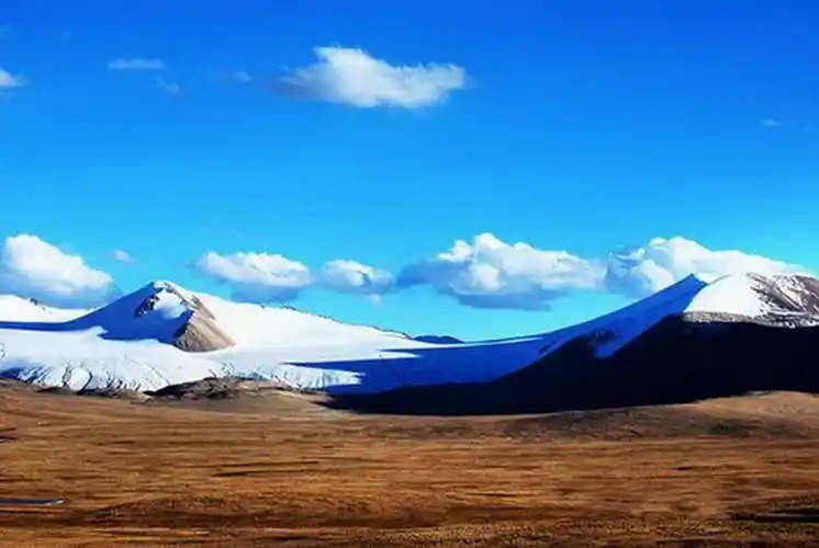 西藏故事丨可可西里的魅力和脆弱