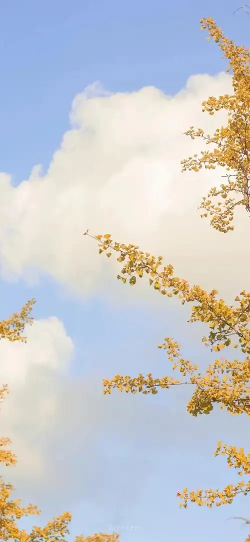 好看的微信qq背景图片