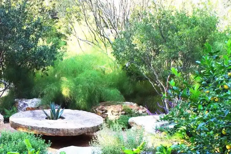 给水排水这些雨水花园美的不像实力派