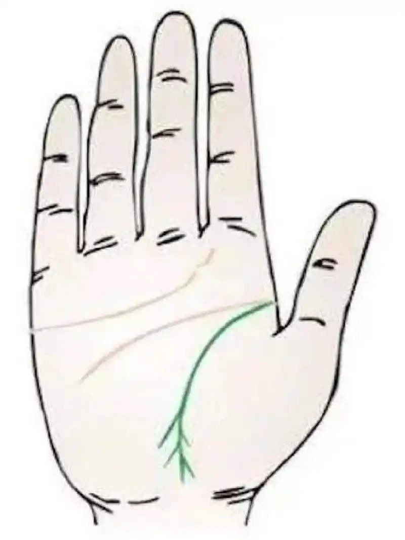 生命线有分叉向上 一,生命线有分叉向上 当出现这种纹路时,则代表这类