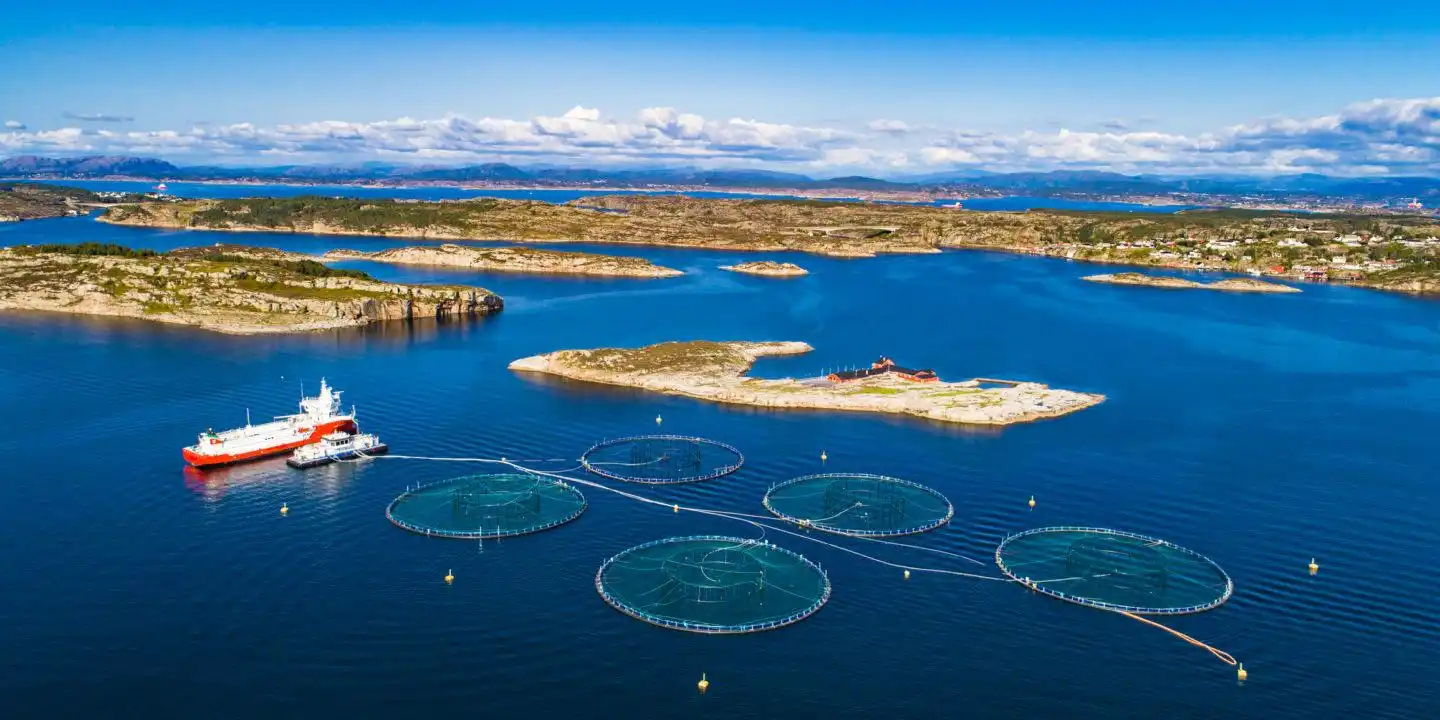 公海生物多样性谈判需解决机制性问题