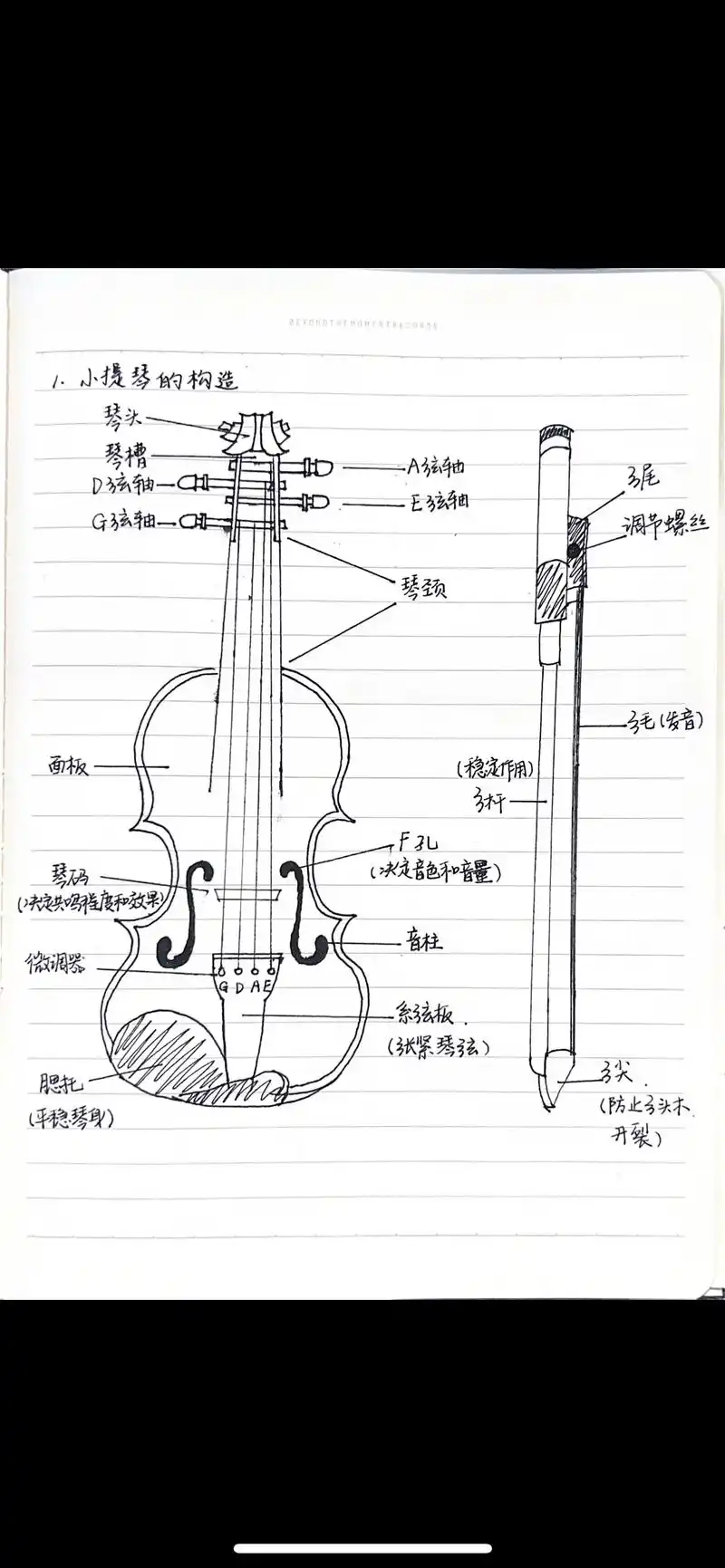 做了一个超全的小提琴笔记～哈哈哈哈哈.#小提琴 #今天你练琴 - 抖音