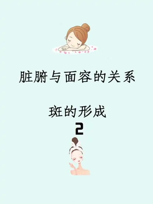 脏腑与面容关系斑的形成77