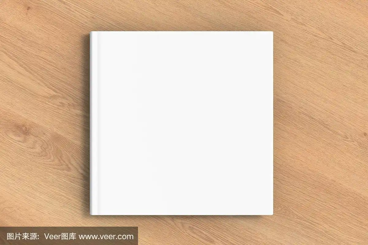 正方形空白书封面模型