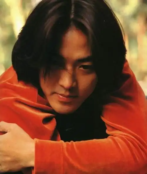 在那个没有美颜 滤镜和ps的年代,那些惊艳了时光的香港男明星吧