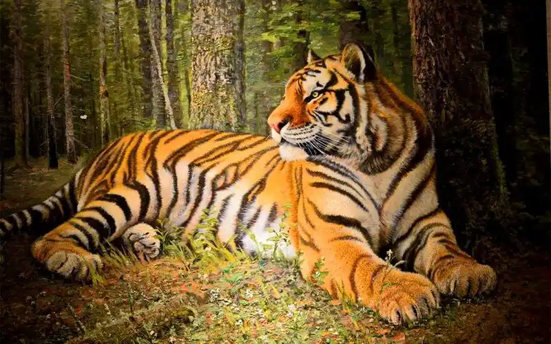 威猛霸气老虎壁纸_超霸气的威武老虎