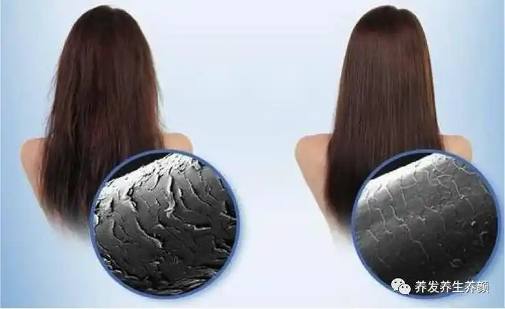 女人养发,必须重视保护毛鳞片