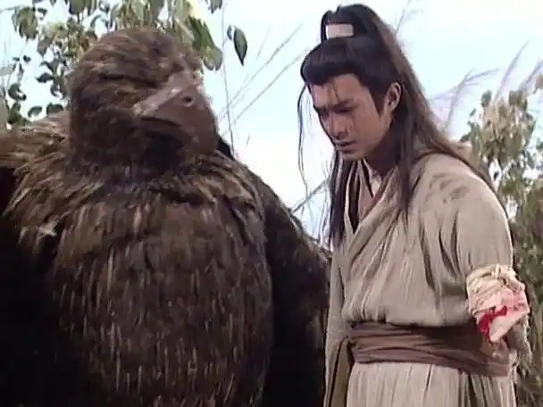 细聊那只金庸笔下威武霸气的神雕_杨过