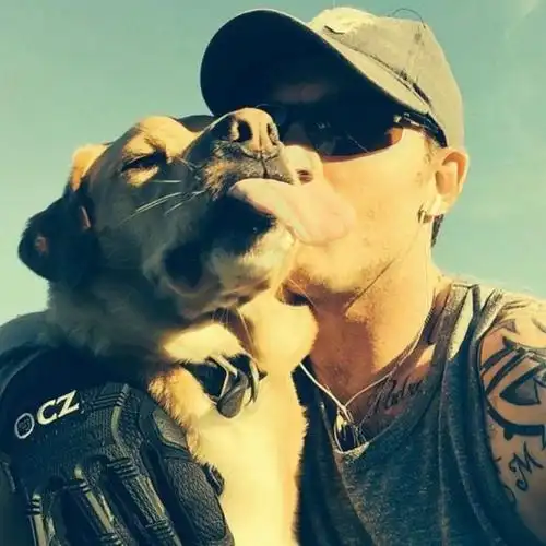 汤姆哈迪爱犬离世史上最感人告别信让人泪奔