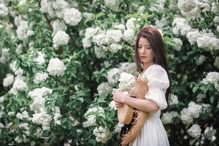 绣球花人像外拍