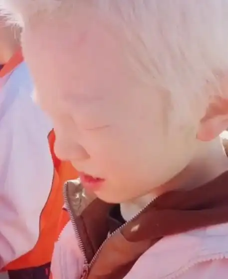 满头白发(满头白发的成语)