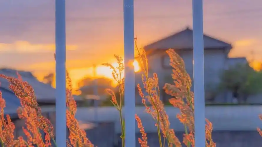 超好看的电脑壁纸来了,看看有没有自己喜欢的92#电脑桌面壁纸