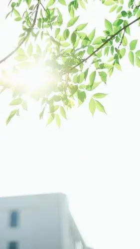 绿色小清新唯美写真