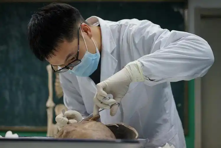 基础医学院举办第二届育林杯希望之星人体标本现场制作大赛决赛