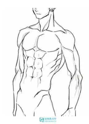 人体肌肉该怎么画男生肌肉的画法