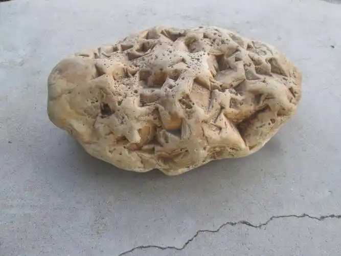 这块石头值多少钱有收藏价值吗?求解答