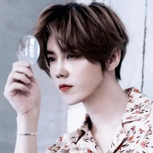 鹿晗头像二传标注李奕然