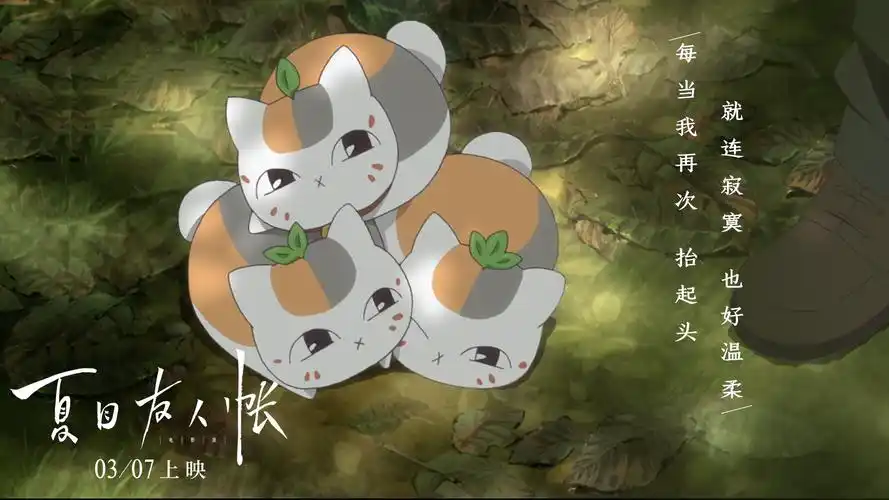 夏目友人帐,动画片,妖怪,治愈,影视,壁纸萌萌的猫咪老师