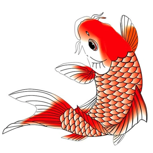 动漫鲤鱼的简笔画 简笔画图片大全-普车都