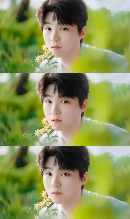 王俊凯代言植物医生