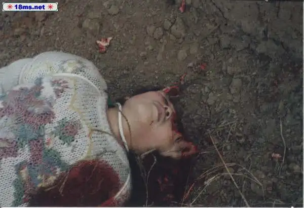 引用【转载】中国死囚尸体处理内幕