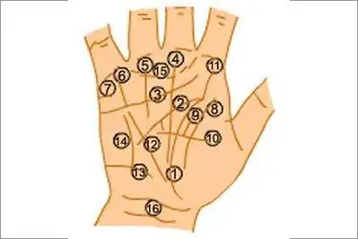 女性手掌纹两条智慧线(女人右手两条智慧线一长一短)