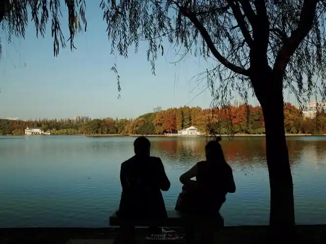 公园里牵手散步休息拍照的情侣