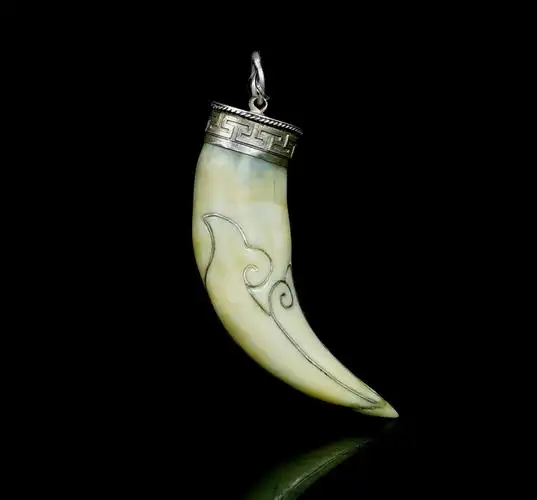 佚名 老虎牙镶银胸坠