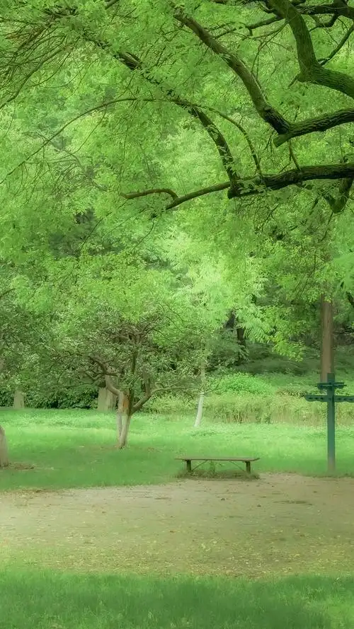 1/3下一页尾页时间:2021-04-29浏览:(578)标签:格式:jpg热门壁纸标签