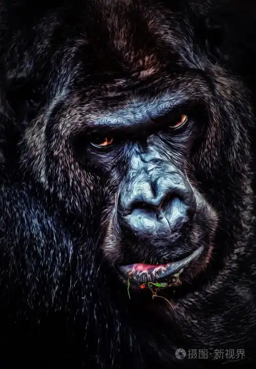 愤怒的大猩猩肖像