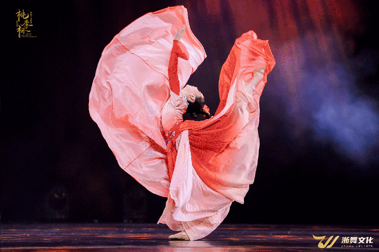 2024桃李杯03舞蹈艺术展演报名简章