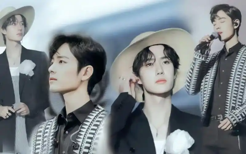 博君一肖:我喜欢索隆 但我家那位喜欢路飞