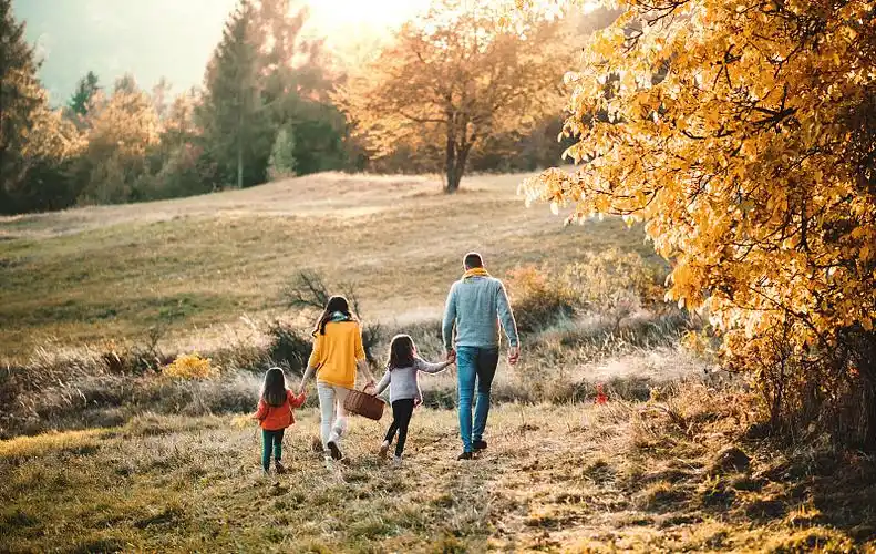 一个年轻的家庭和两个小孩在秋天的自然中行走的后视图图片下载