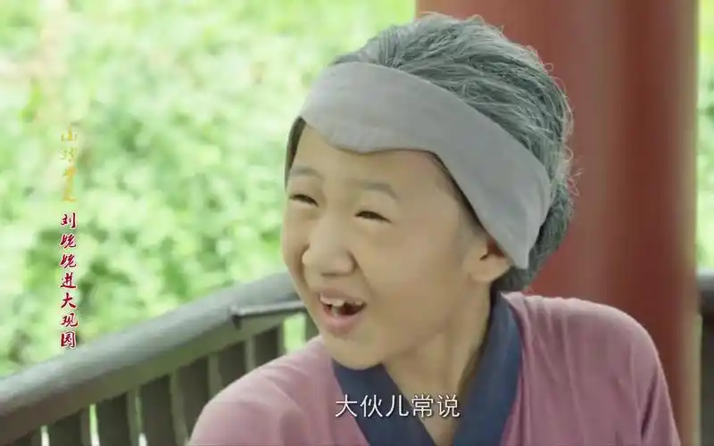 【6版红楼梦】刘姥姥2-5画园子