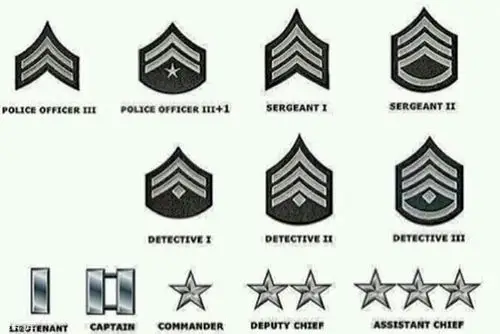 美国警察的级别都是统一的,分别为police officer(警员),sergeant