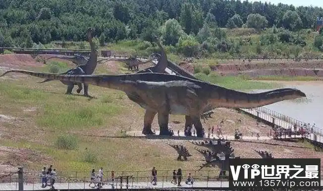 世界上最长最重的恐龙:易碎双腔龙(长35米/体重比蓝鲸大)