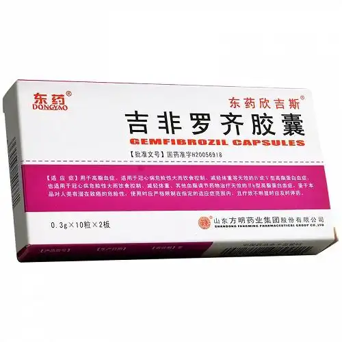 吉非罗齐胶囊 0.3g*20粒