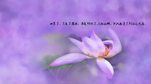 一个人心累了伤感带字图片