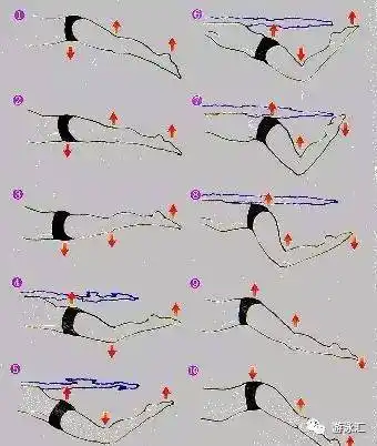 游泳发力技巧图示看懂让你游的更轻松