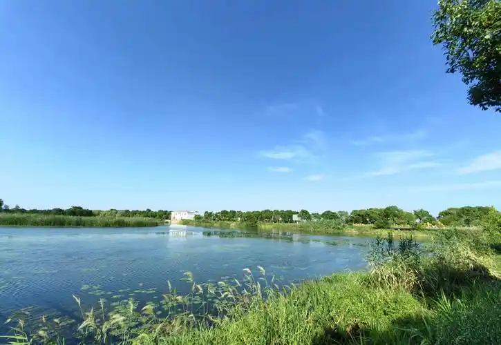 长荡湖湿地公园虽然天气热,长荡湖湿地公园风景很美,给我留下了很好的