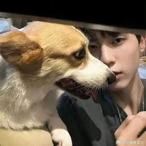 男生头像超话帅气的男头,让你感受到不一样的魅力!