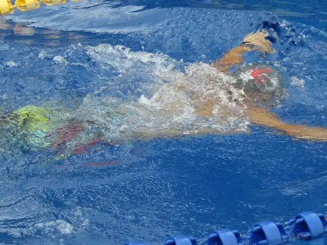 《鲤鱼教练各种游泳方式试范动作》