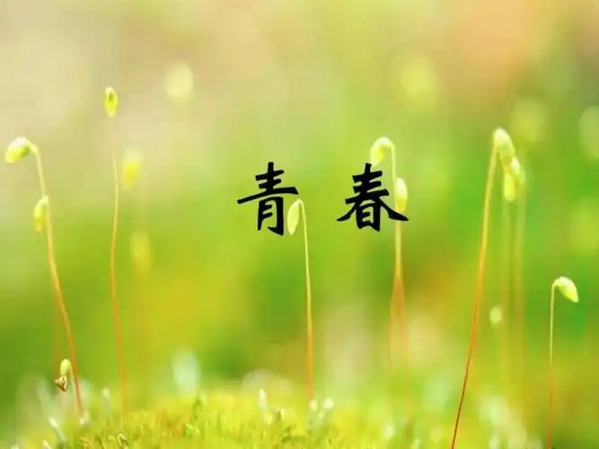 青春主题模板精品课件