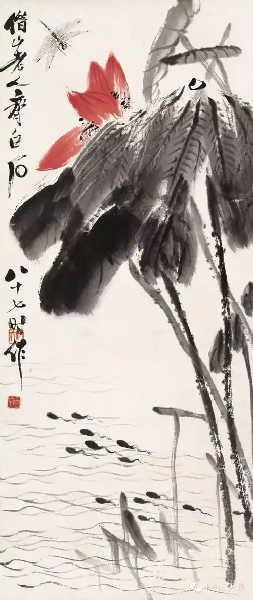 齐白石的荷花蜻蜓!漂亮至极!